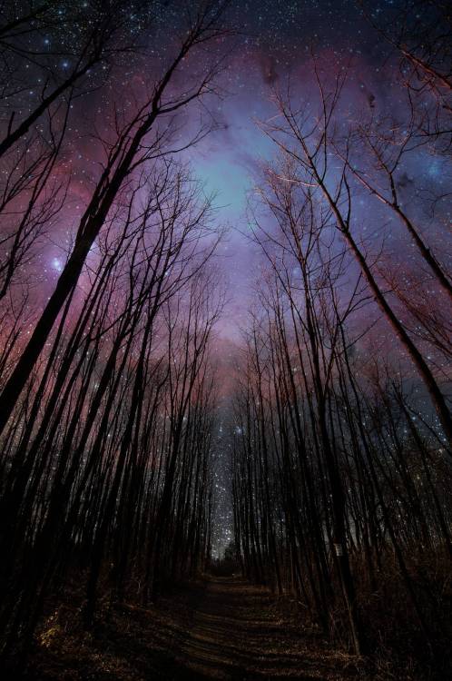 Gravitational Beauty