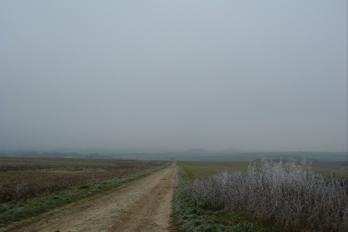 tammieswillow - herwillow