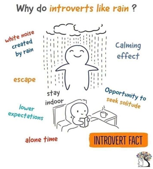 brainzalad:theintrovertnation:Works for me!