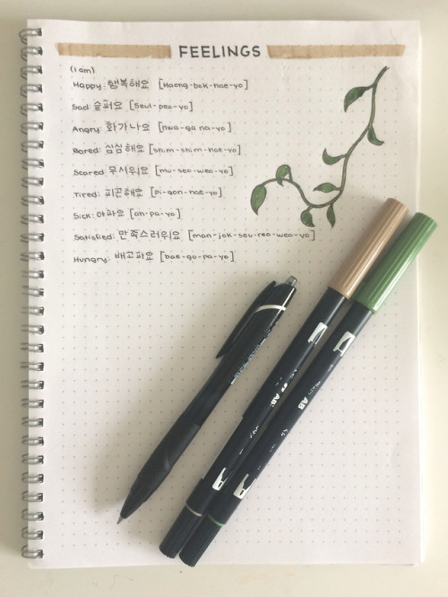 I like to focus on Korean during the summer. Here are some of my notes on feelings! 
