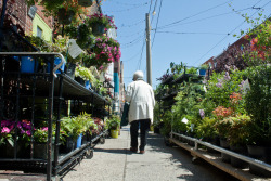 carnivorousveggie:  walking home  // philadelphia, pennsylvania  2014 by © veggie