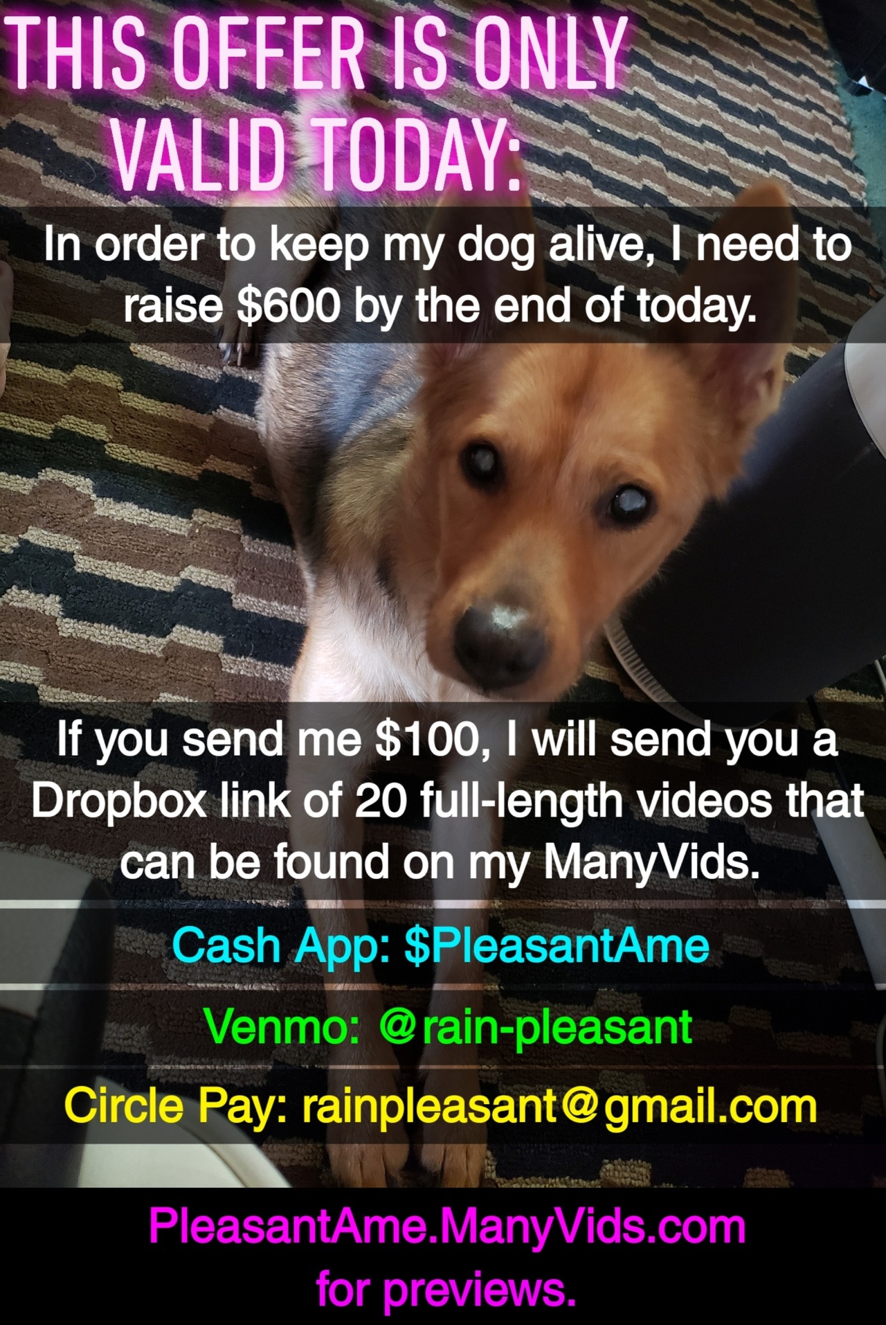 sortofunpleasant:  The vet called after hospitalising my dog last night, and informed