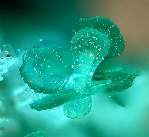 mineralists:  Brochantite crystals from Eaglebrook Mine 