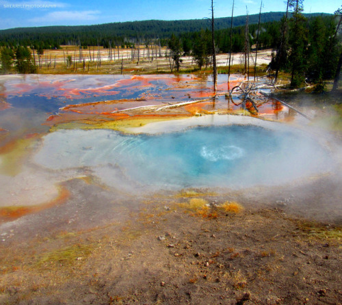 sherrylephotography:Aug 30, 2017             Turquoise pool bubbling, Yellowstone