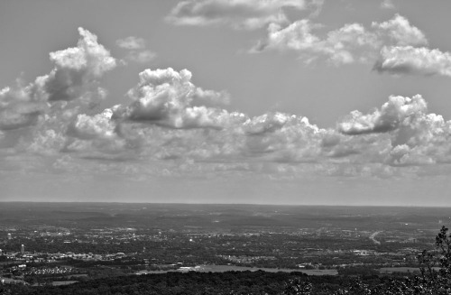 Gambrill State Park Overlook, August 2013 Which do you prefer, color or black and white?