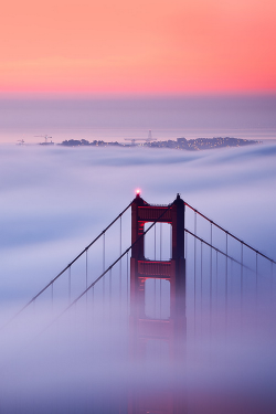 sundxwn:  Golden Gate Sunrise by Michelle Lee