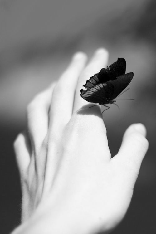 m–i-s-t-i-c-a:  ♡ photography blog ♡