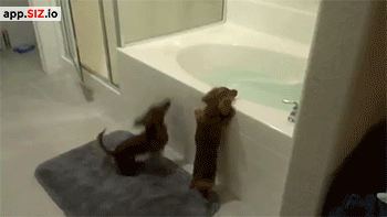 thefrogman:  [Video]