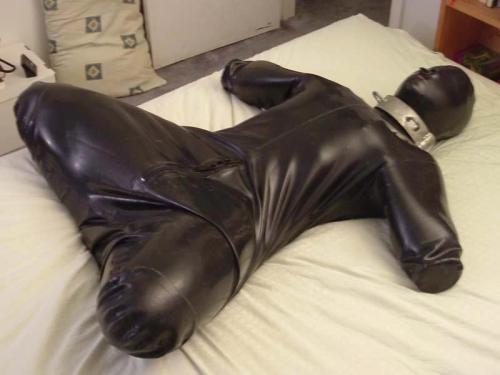 gummigimp:  collared gimp 