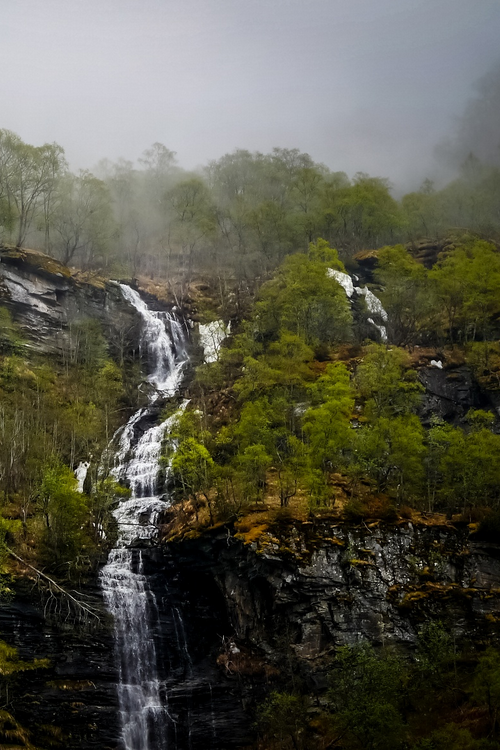 vhord:  captivesouls:  Nature  strictly nature
