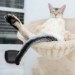 catasters: