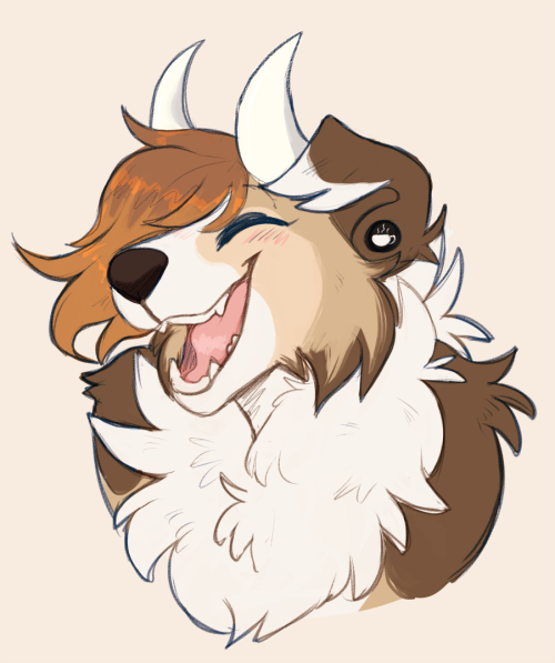 jboppity:  first half of the huge batch of headshots i took over on FA !