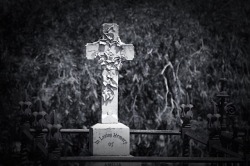 gardensofthesilent:St Georges Anglican Cemetery,