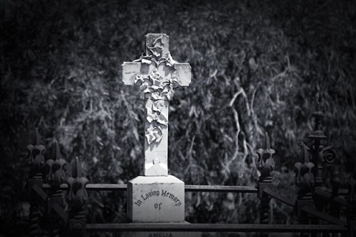 gardensofthesilent:St Georges Anglican Cemetery, porn pictures