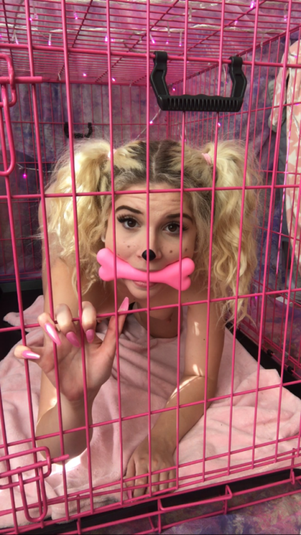 dumdolly:  let me out so we can play porn pictures