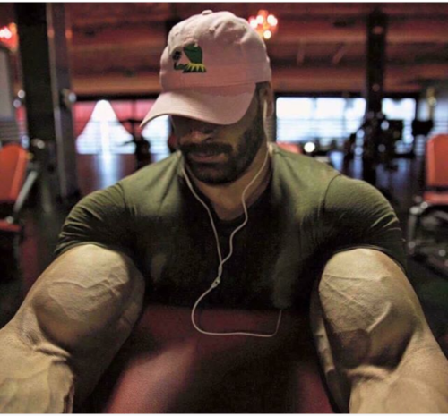 dafyddbach:    Bradley Martyn for 5300 followers.  For more muscle hunkery follow @dafyddbach