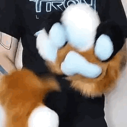 @dollybeagle Asked: Boards You Say?? Could You Make A Cat Related Stimboards With Paw-kneading, With