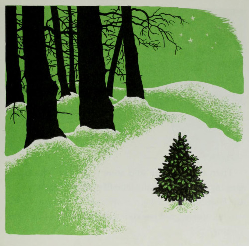 Margaret Wise Brown, The Little Fir Tree (1954).Illustrations by Barbara Cooney