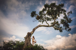 gerardchillcott:  marzipanned: Photo: @gerardchillcott. 2017 // Danau Toba, Sumatra, Indonesia.  Sky Tree Fairy