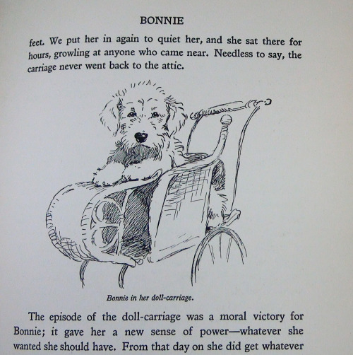  Cecil Aldin (1870-1935) was a British artist and Master of Fox Hounds who was known for his dog por