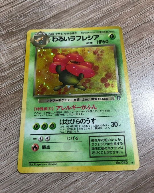 ラフレシア Explore Tumblr Posts And Blogs Tumpik ラフレシア Explore Tumblr Posts And Blogs Tumpik