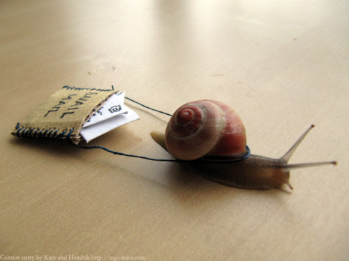 Edmund Finney’s Quest to Find the Meaning of Life - First Contest Winner: “Snail Mail”