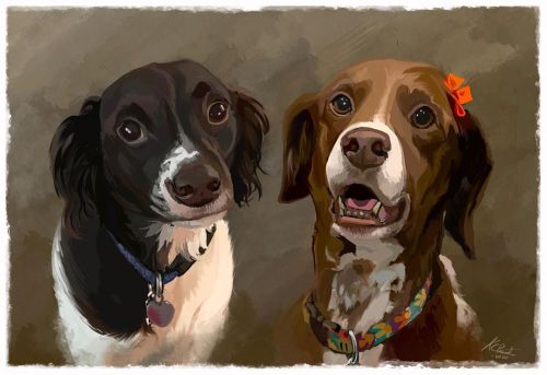 Just got done painting these adorable beauties for one of my first patrons, Megan! #petportrait #dog