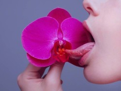 endless-and-serpentine:Tyler Shields, Orchid,