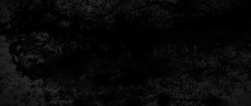 sopunkitpopped:  Supernatural title cards porn pictures