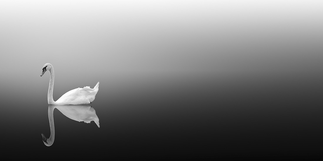 artemisdreaming:  Swan Lake, Zurich, 2010 Vassilis Tangoulis HERE See High-res 