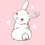 pinkprincessbunny123