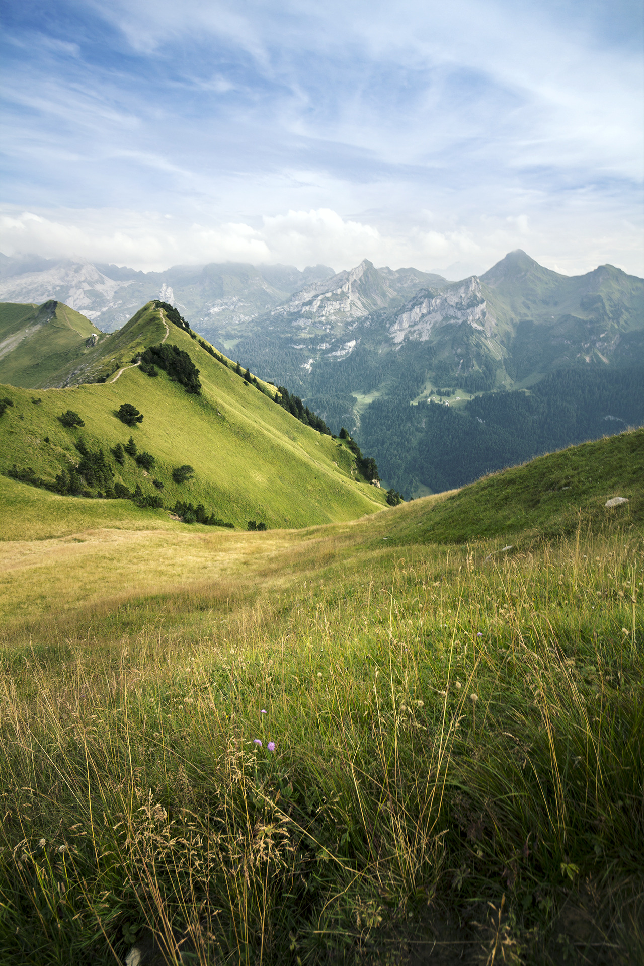 czechthecount: Up in the Mountains by czechthecount: instagram | facebook | 500px