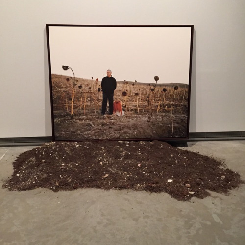 Melancholia II (2015), Fatma Bucak 