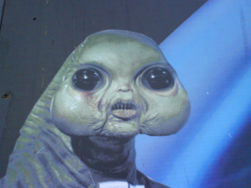 “say that to my REAL face u lil shit”
