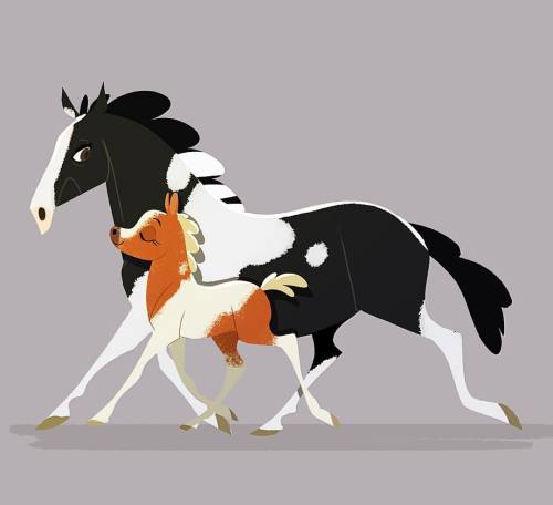 eworthylake:Misty and her mom, Phantom. #misty #mistyofchincoteague #characterdesign #horse #horsedr