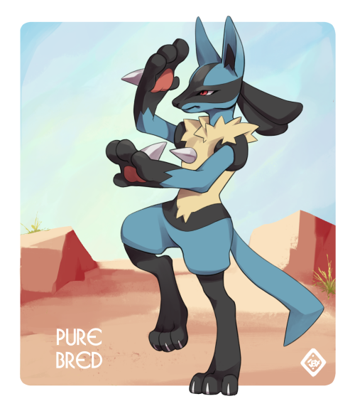 kairisk: Lucario Variations! Commissioned
