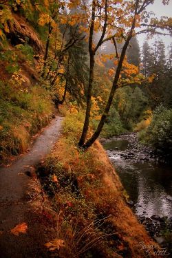 lori-rocks:Eagle Creek Trail to Punchbowl