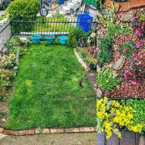 <p>#frontyard #comingtogether #cityscape #cityliving #grass #freshcut #lawn #springtime</p>