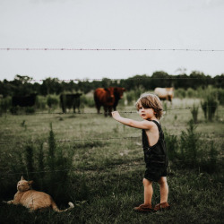 Not Easily Tamed, This Cowgirl Is Like A Rodeo