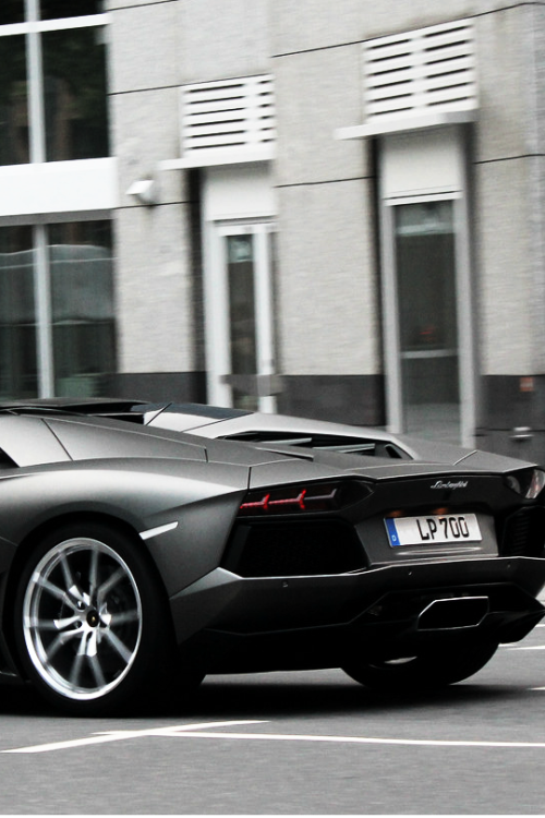 Lamborghini Aventador LP700-4 Roadster adult photos