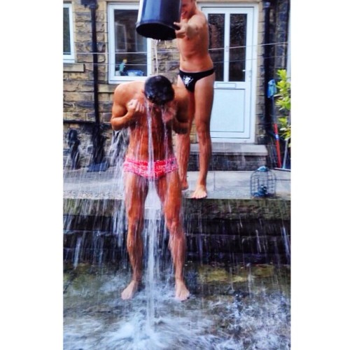 :  speedogram | undiegram 