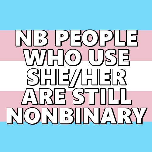 queerlection:[Image description - Images of a trans, nonbinary and nonbinary poc pride flag with the