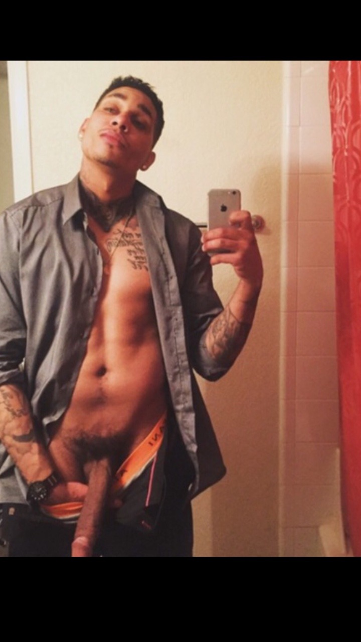 beenbaitingsincethe90s:  He’s a must have!! 😜😜😜 HMU for pricing 🤑 Kik: