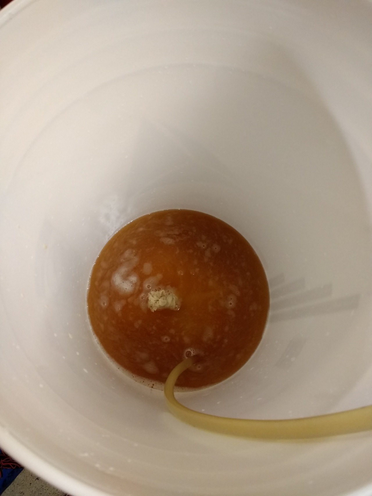 Badbrew And now for the peaches! Our Ragnar Atlanta brew...