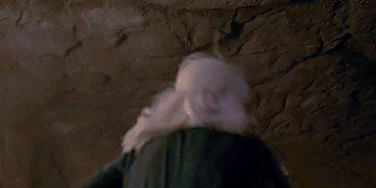 9f89060c070c0473a37f5961e1620cb544941429.gifv