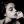 ivorygods:  think of me when you see the moon.