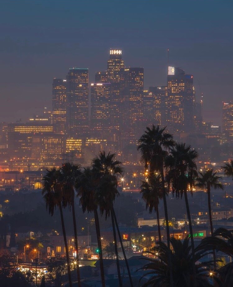 yeezuscrxs:  ‘just picture me hollywood living‘       pic from Instagram: - conquer_la
