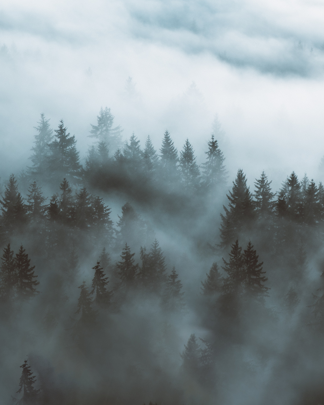 forrestmankins:  Flying over the mountains, trees, and clouds in the central Cascades.Prints