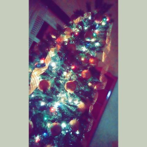 dany-contreras: #ChristmasTime #ChristmasTree #Happy reblogged with tintum.