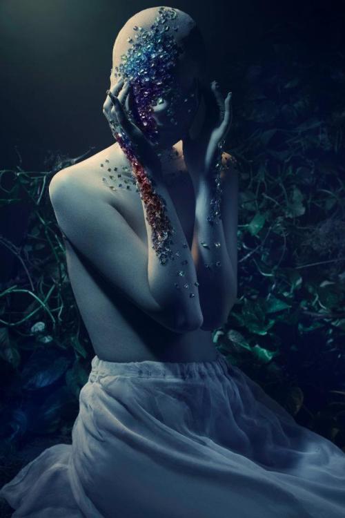 sisterwolf:  Fleur de la Nuit by © An Le